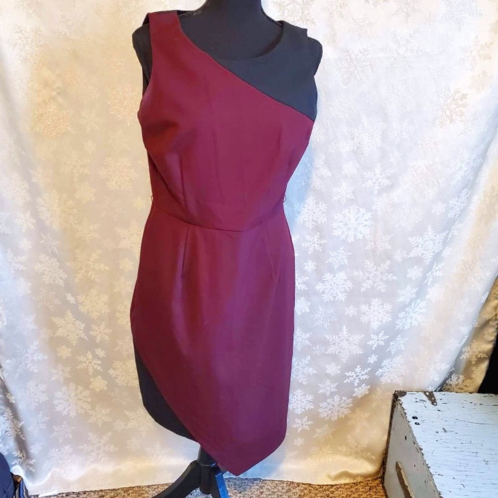 New York & Co.Burgundy and Black Dress Like New